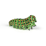 Figurine Chenille Papo en PVC, thème insectes, Collection Animaux des jardins, jouet éducatif idéal pour enfants et collectionneurs