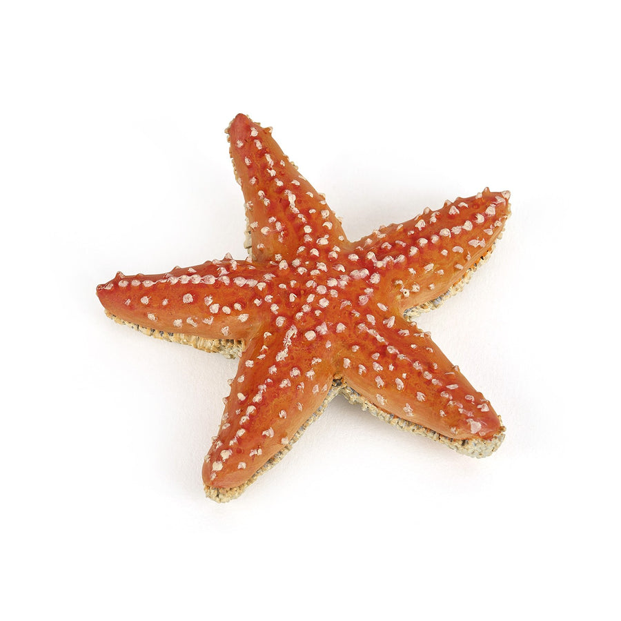 Etoile de mer Papo en PVC, Collection animaux marins, jouet éducatif idéal pour enfants et collectionneurs
