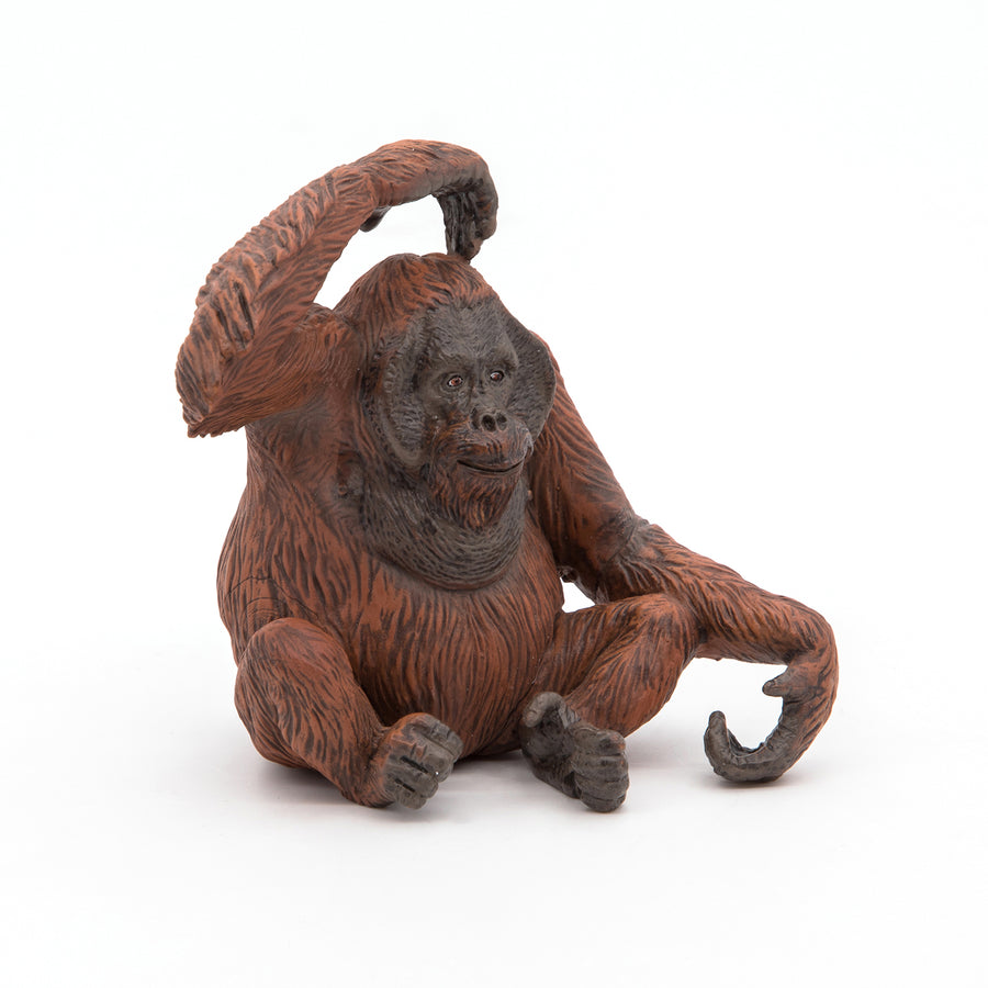 Orang-outan Papo en PVC, Collection Animaux sauvages, jouet éducatif idéal pour enfants et collectionneurs