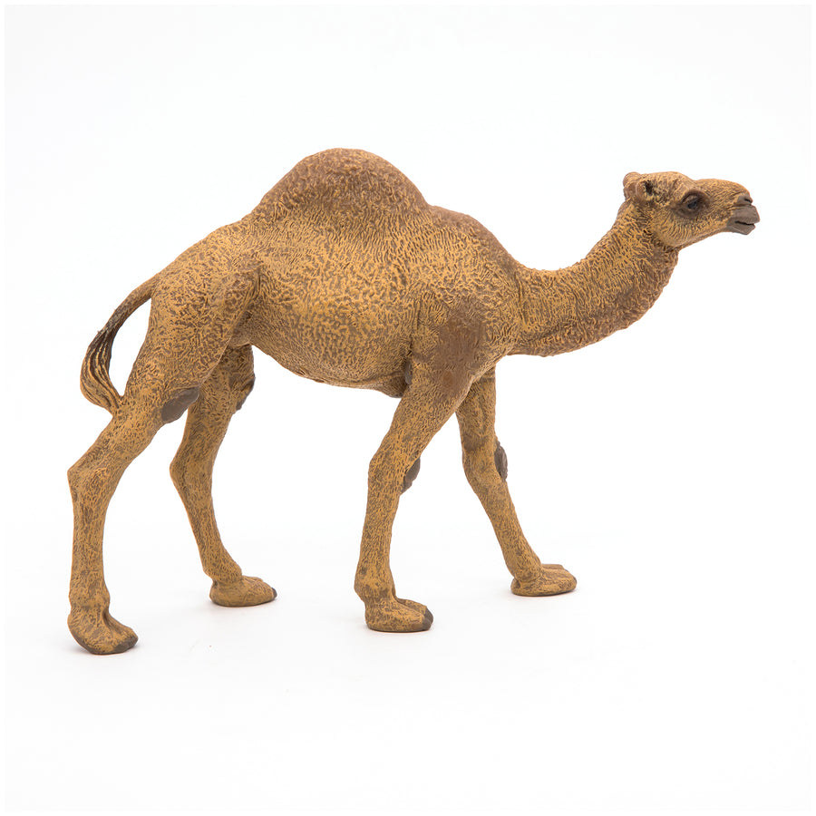 Dromadaire Papo en PVC, Collection Animaux sauvages, jouet éducatif idéal pour enfants et collectionneurs