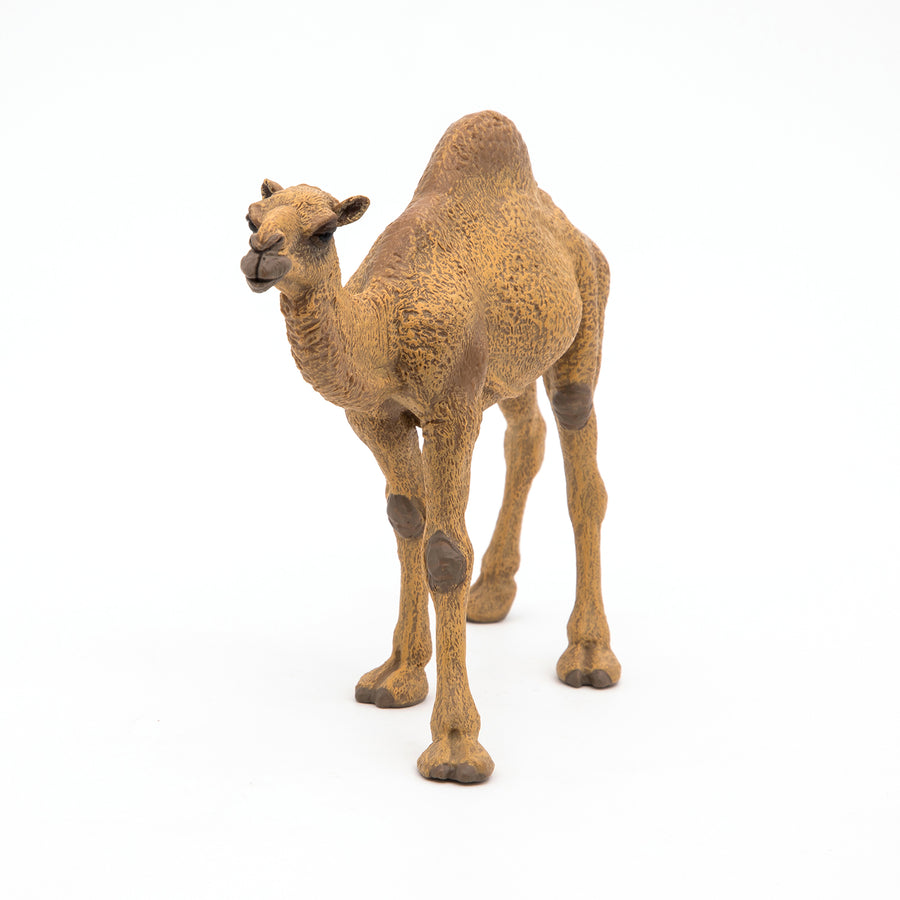 Dromadaire Papo en PVC, Collection Animaux sauvages, jouet éducatif idéal pour enfants et collectionneurs