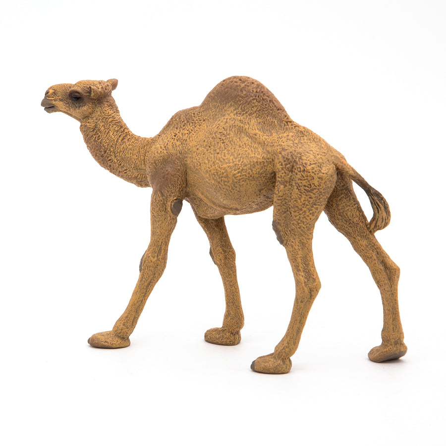 Dromadaire Papo en PVC, Collection Animaux sauvages, jouet éducatif idéal pour enfants et collectionneurs