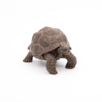 Figurine Tortue des Galápagos Papo en PVC, thème reptiles, Collection Animaux sauvages, jouet éducatif idéal pour enfants et collectionneurs