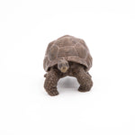 Figurine Tortue des Galápagos Papo en PVC, thème reptiles, Collection Animaux sauvages, jouet éducatif idéal pour enfants et collectionneurs