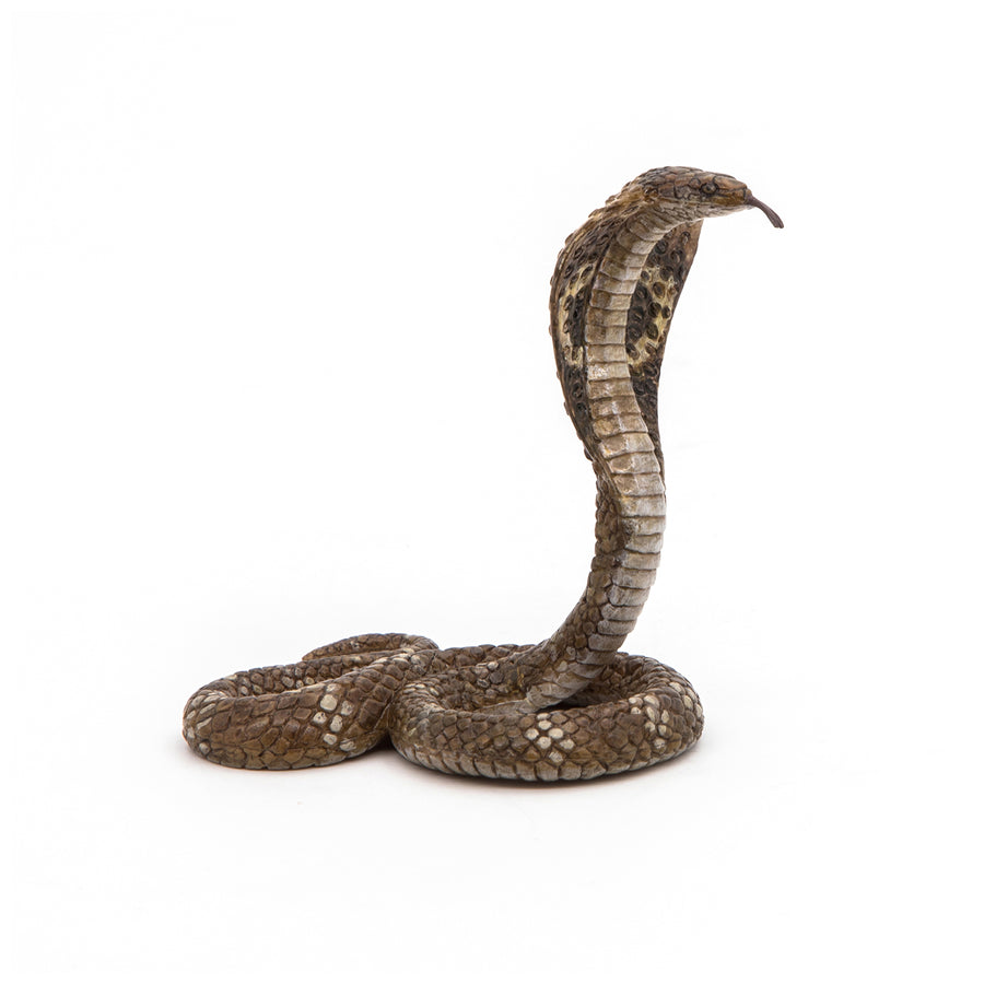 Figurine Cobra royal Papo en PVC, thème reptiles, Collection Animaux sauvages, jouet éducatif idéal pour enfants et collectionneurs