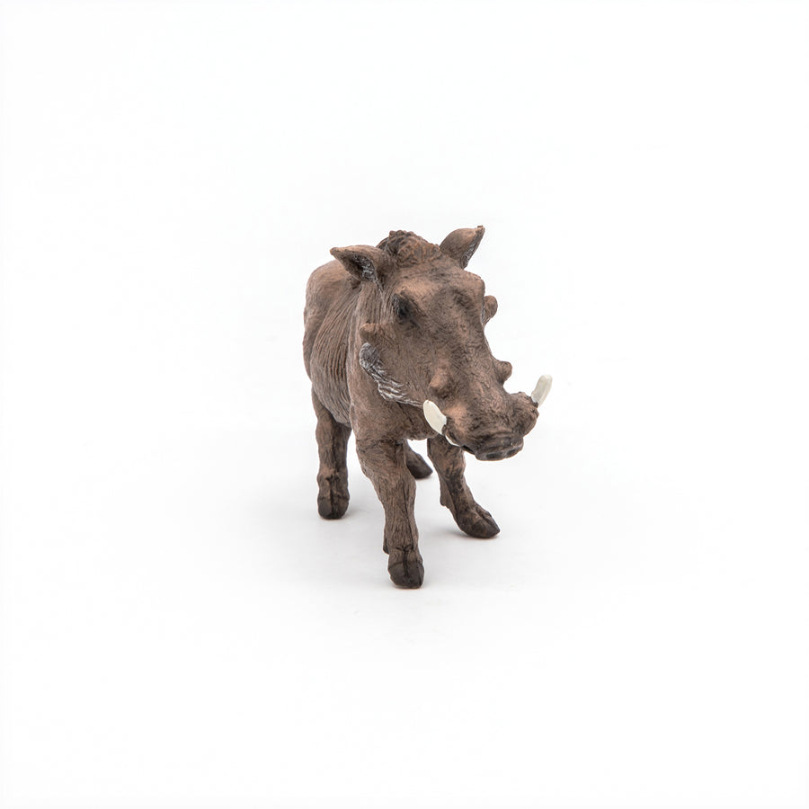 Figurine Phacochère Papo en PVC, thème savane, Collection Animaux sauvages, jouet éducatif idéal pour enfants et collectionneurs