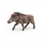 Figurine Phacochère Papo en PVC, thème savane, Collection Animaux sauvages, jouet éducatif idéal pour enfants et collectionneurs