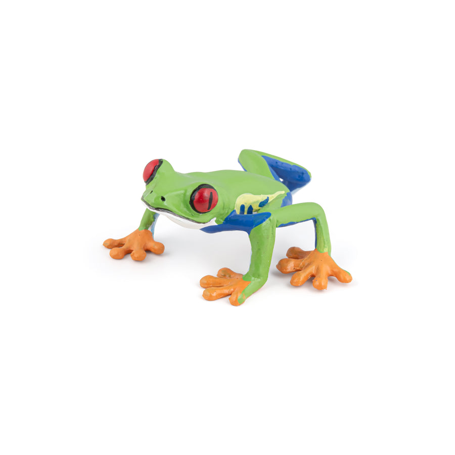 Rainette aux yeux rouges Papo en PVC, Collection Animaux sauvages, jouet éducatif idéal pour enfants et collectionneurs