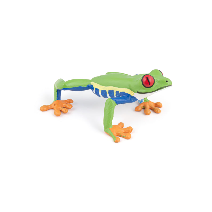 Rainette aux yeux rouges Papo en PVC, Collection Animaux sauvages, jouet éducatif idéal pour enfants et collectionneurs