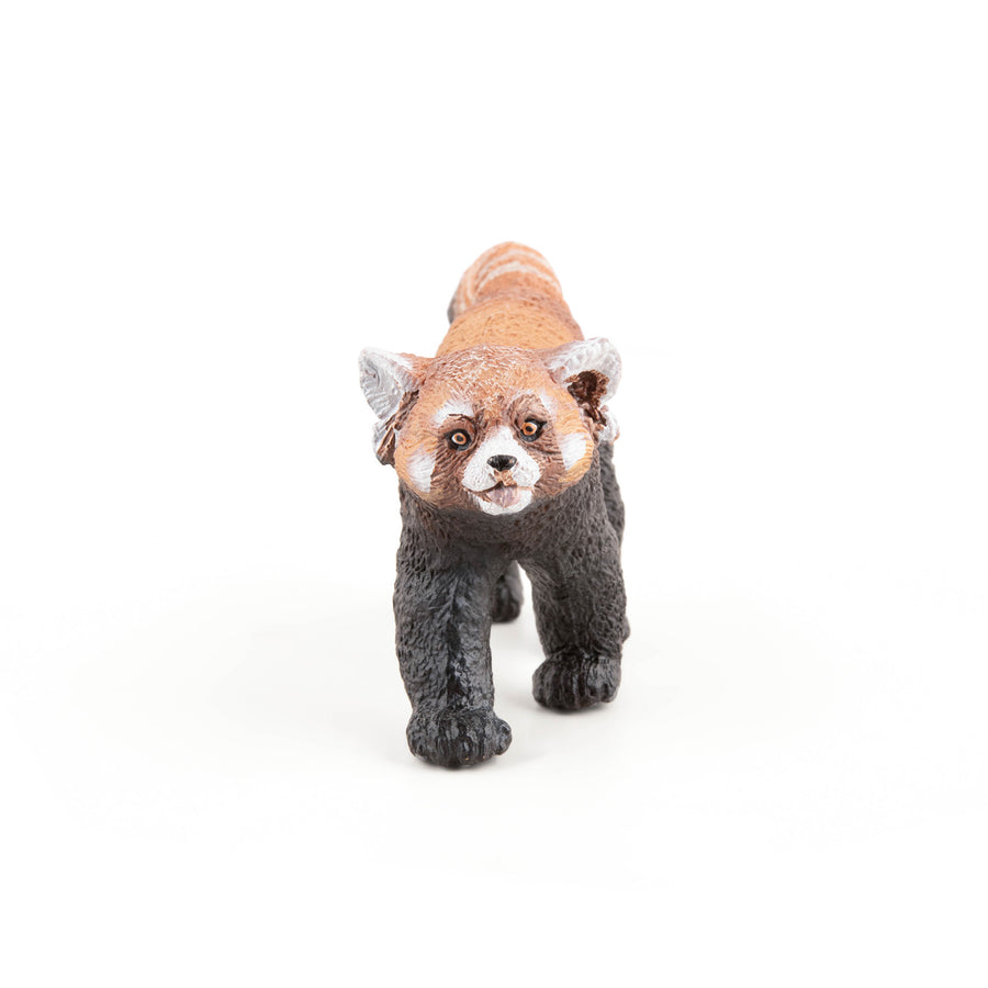 Panda roux Papo en PVC, Collection Animaux sauvages, jouet éducatif idéal pour enfants et collectionneurs