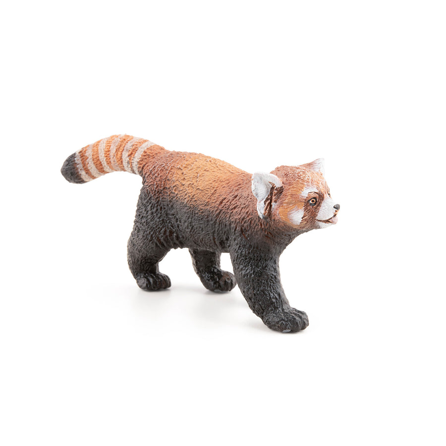 Panda roux Papo en PVC, Collection Animaux sauvages, jouet éducatif idéal pour enfants et collectionneurs