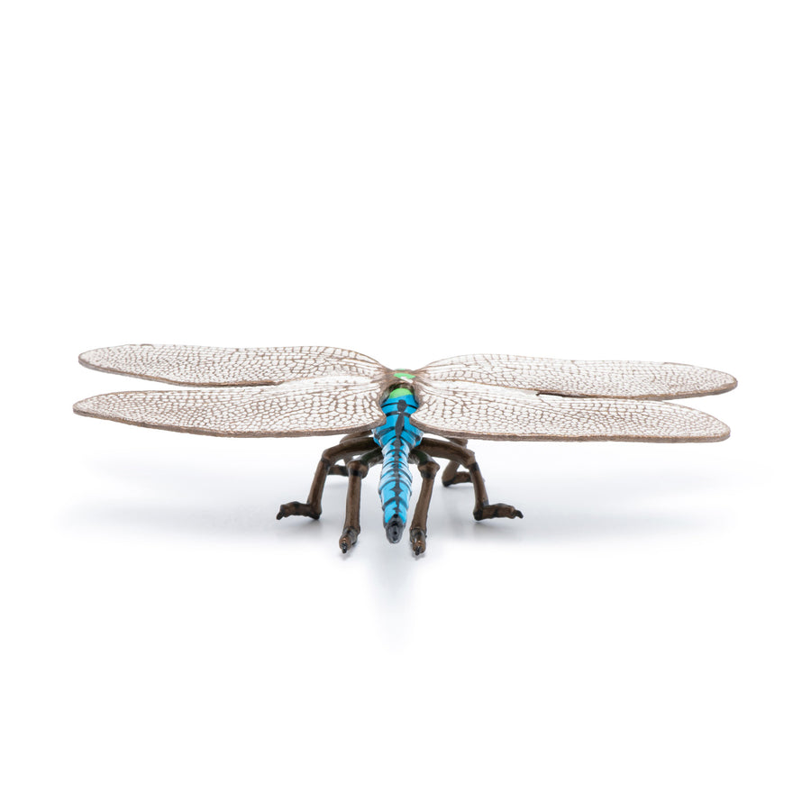 Figurine Libellule Papo en PVC, thème insectes, Collection Animaux des jardins, jouet éducatif idéal pour enfants et collectionneurs