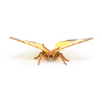 Figurine Papillon Souci Papo en PVC, thème insectes, Collection Animaux des jardins, jouet éducatif idéal pour enfants et collectionneurs