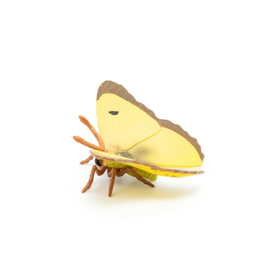 Figurine Papillon Souci Papo en PVC, thème insectes, Collection Animaux des jardins, jouet éducatif idéal pour enfants et collectionneurs