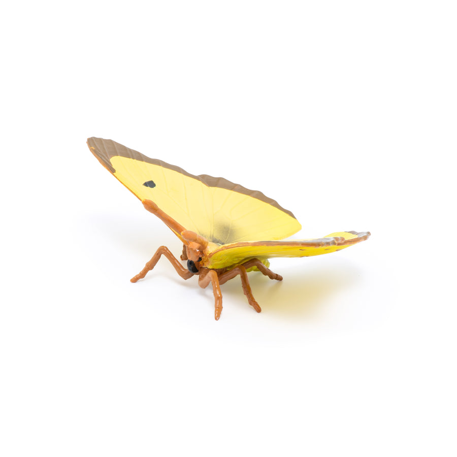 Figurine Papillon Souci Papo en PVC, thème insectes, Collection Animaux des jardins, jouet éducatif idéal pour enfants et collectionneurs