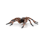 Araignée commune Papo en PVC, Collection Animaux des jardins, jouet éducatif idéal pour enfants et collectionneurs