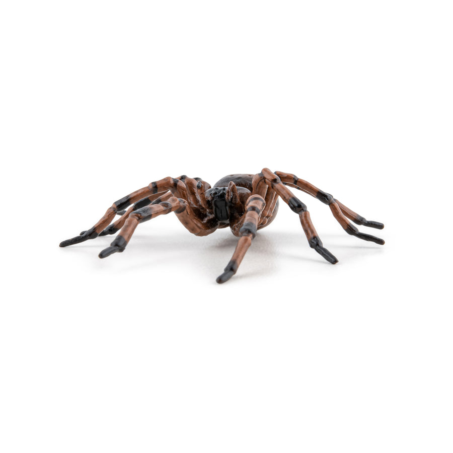 Araignée commune Papo en PVC, Collection Animaux des jardins, jouet éducatif idéal pour enfants et collectionneurs