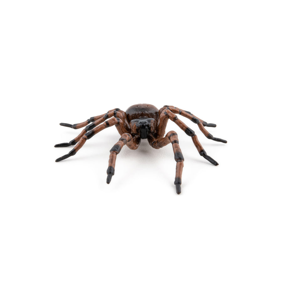 Araignée commune Papo en PVC, Collection Animaux des jardins, jouet éducatif idéal pour enfants et collectionneurs