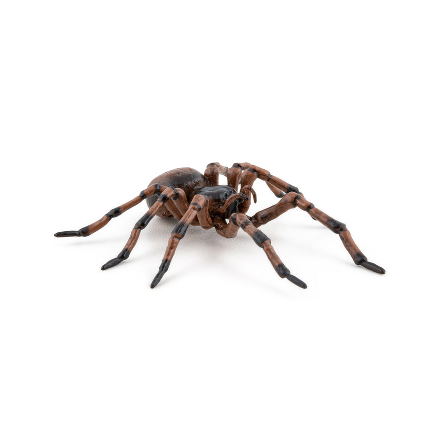 Araignée commune Papo en PVC, Collection Animaux des jardins, jouet éducatif idéal pour enfants et collectionneurs