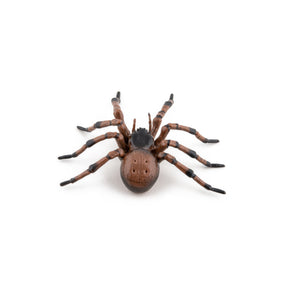 Araignée commune Papo en PVC, Collection Animaux des jardins, jouet éducatif idéal pour enfants et collectionneurs