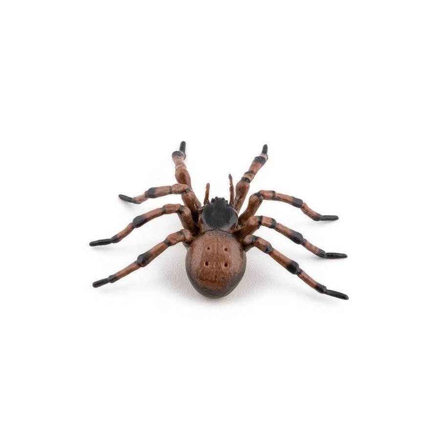 Araignée commune Papo en PVC, Collection Animaux des jardins, jouet éducatif idéal pour enfants et collectionneurs