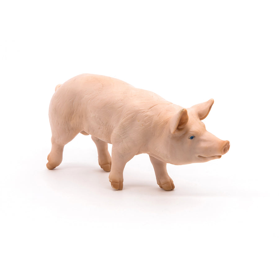 Verrat Papo en PVC, Collection Vie à la ferme, jouet éducatif idéal pour enfants et collectionneurs