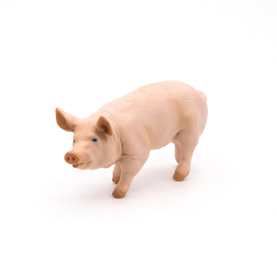 Verrat Papo en PVC, Collection Vie à la ferme, jouet éducatif idéal pour enfants et collectionneurs