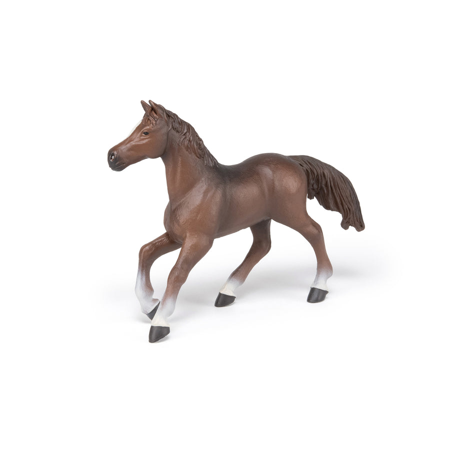 Jument anglo-arabe Papo en PVC, Collection chevaux, jouet éducatif idéal pour enfants et collectionneurs