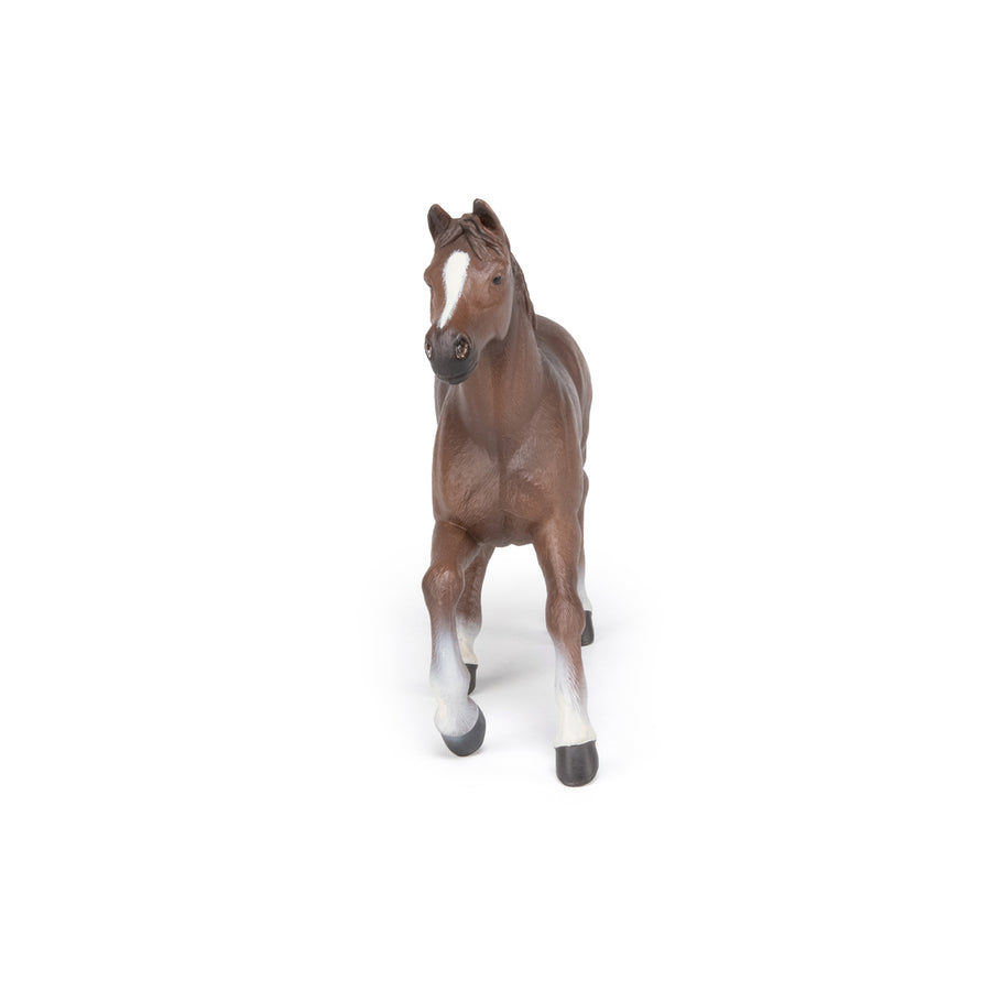 Jument anglo-arabe Papo en PVC, Collection chevaux, jouet éducatif idéal pour enfants et collectionneurs