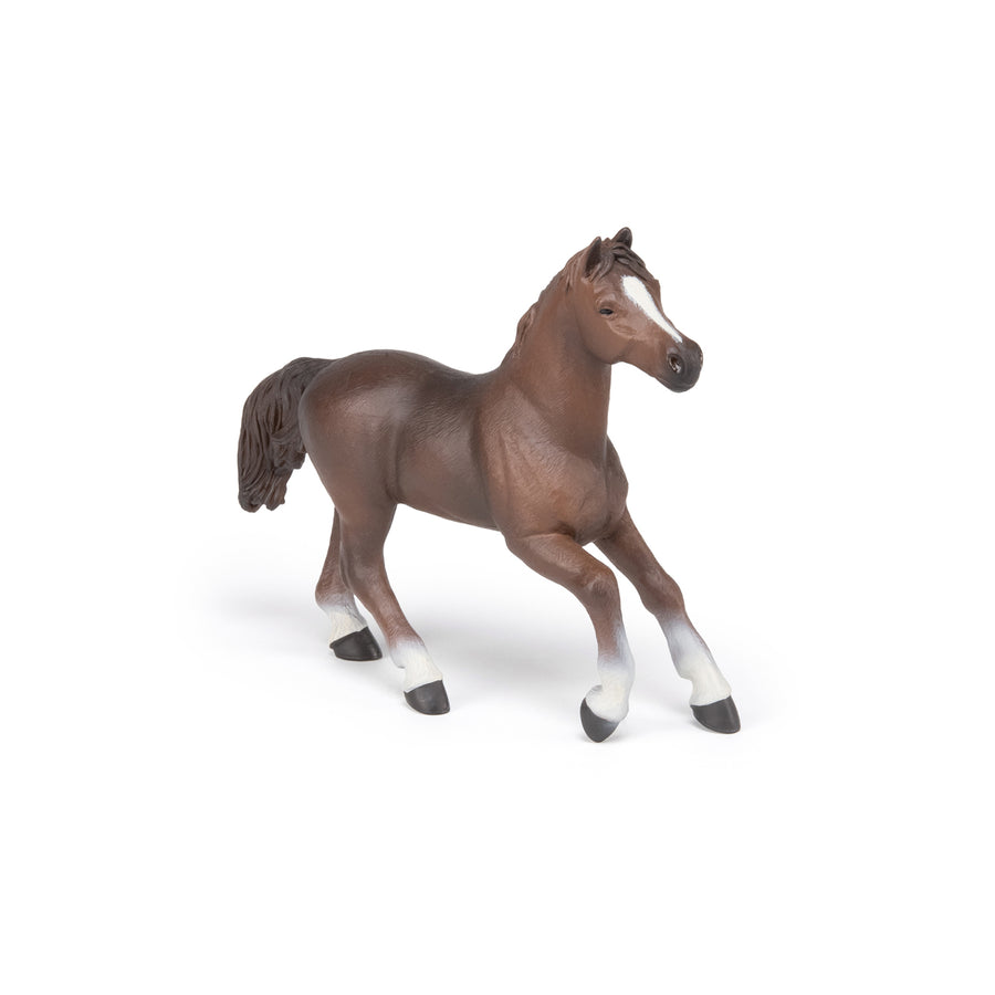 Jument anglo-arabe Papo en PVC, Collection chevaux, jouet éducatif idéal pour enfants et collectionneurs
