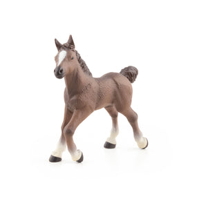 Poulain anglo-arabe Papo en PVC, Collection chevaux, jouet éducatif idéal pour enfants et collectionneurs