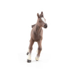Poulain anglo-arabe Papo en PVC, Collection chevaux, jouet éducatif idéal pour enfants et collectionneurs