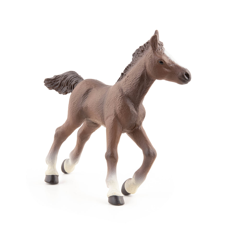 Poulain anglo-arabe Papo en PVC, Collection chevaux, jouet éducatif idéal pour enfants et collectionneurs