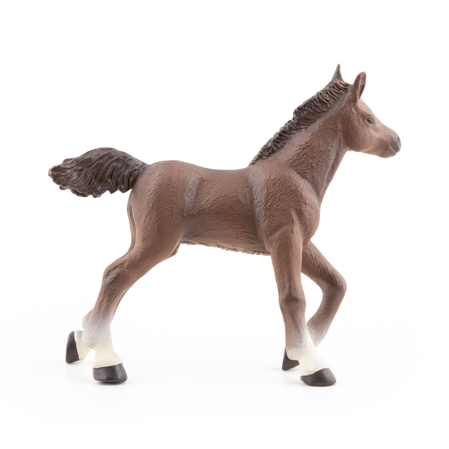 Poulain anglo-arabe Papo en PVC, Collection chevaux, jouet éducatif idéal pour enfants et collectionneurs