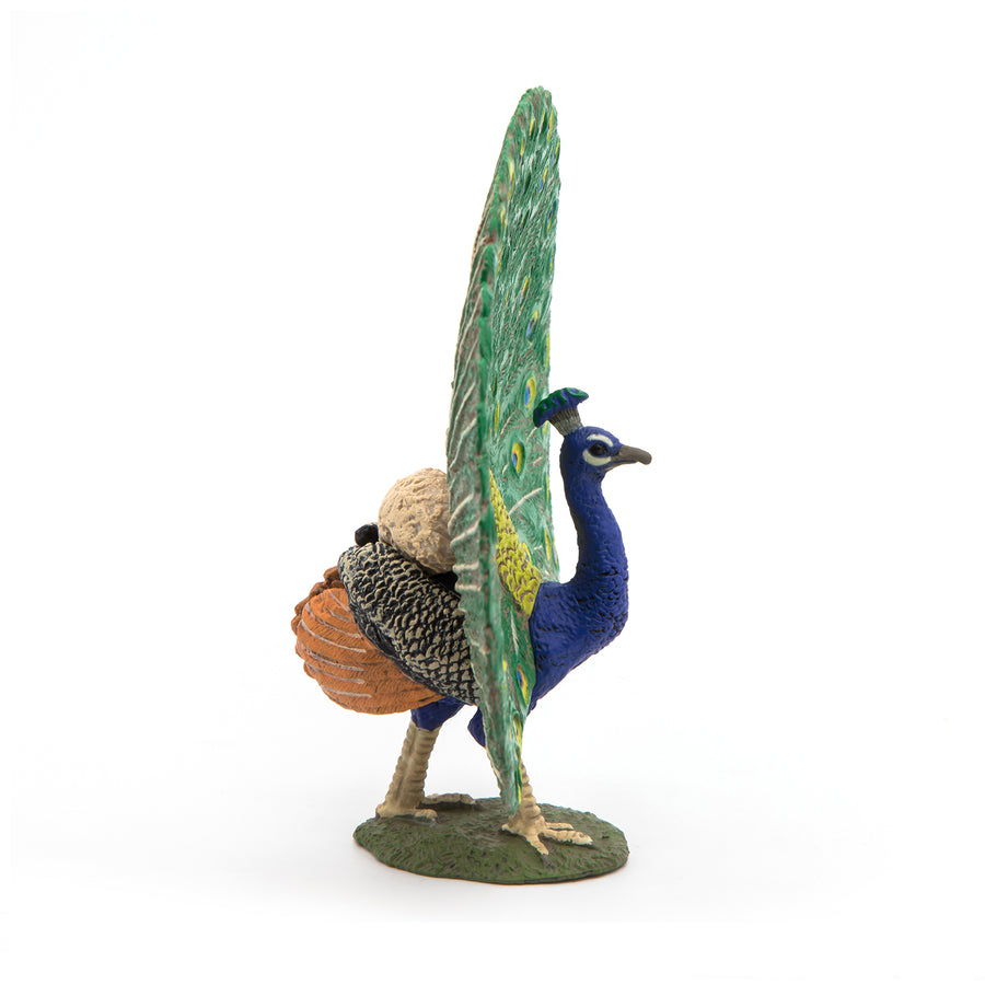 Figurine Paon Papo en PVC, thème basse-cour, Collection Vie à la ferme, jouet éducatif idéal pour enfants et collectionneurs