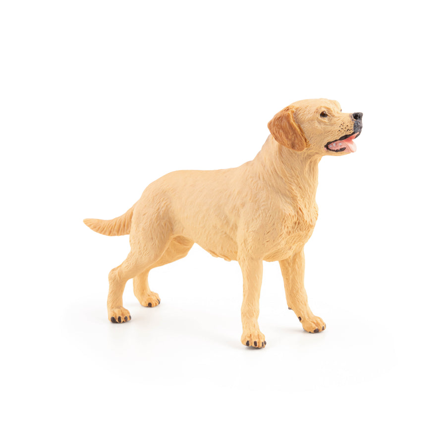 Figurine Labrador Papo en PVC, Collection chiens et chats, jouet éducatif idéal pour enfants et collectionneurs