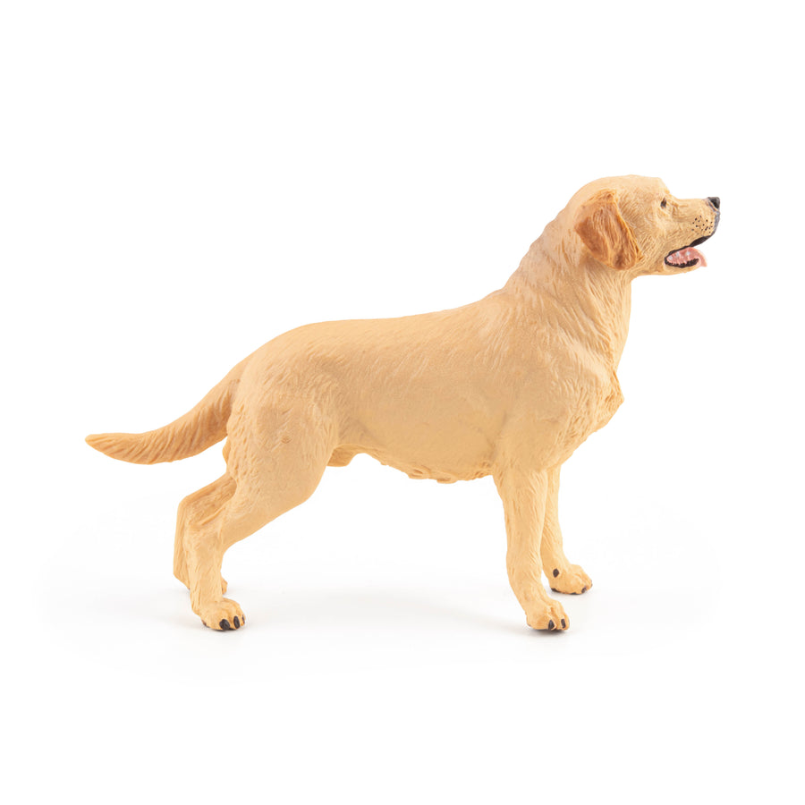 Figurine Labrador Papo en PVC, Collection chiens et chats, jouet éducatif idéal pour enfants et collectionneurs