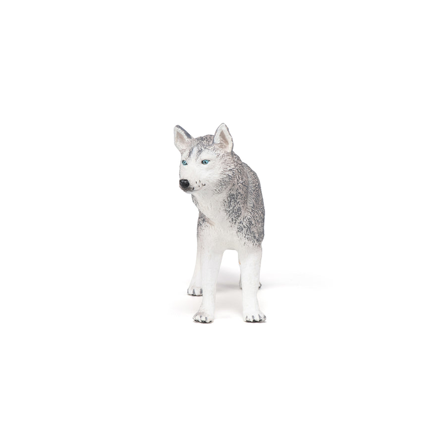 Figurine Husky de Sibérie Papo en PVC, Collection chiens et chats, jouet éducatif idéal pour enfants et collectionneurs