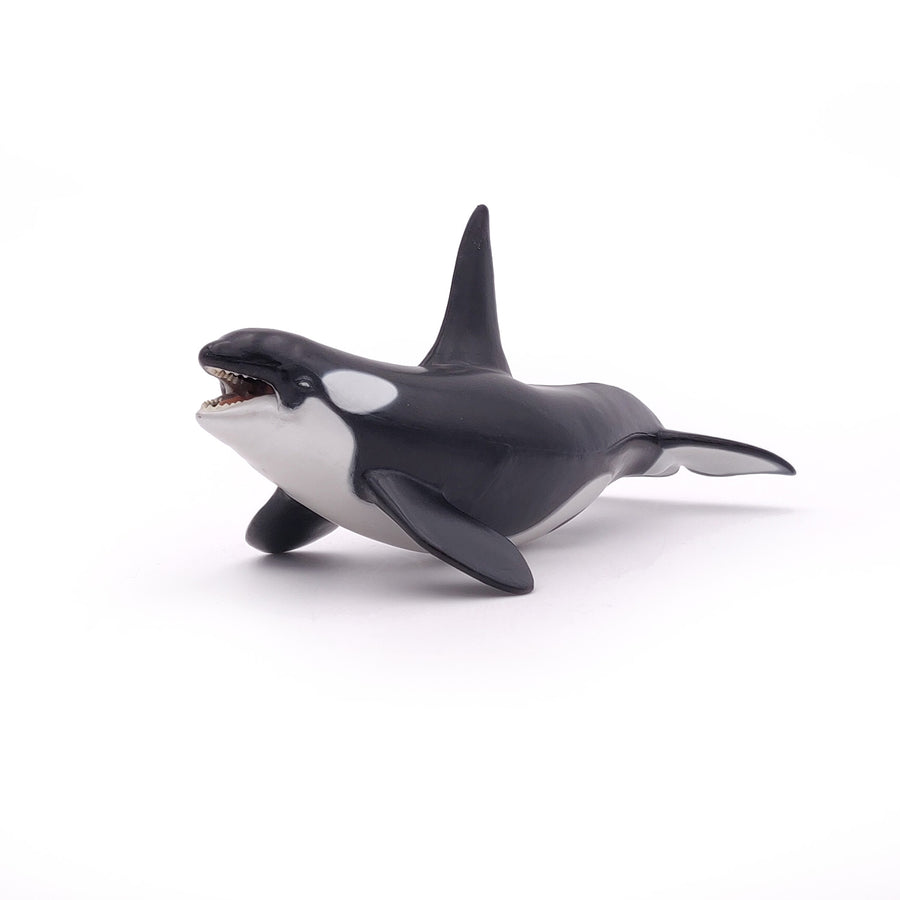 Figurine Orque Papo en PVC, Collection animaux marins, jouet éducatif idéal pour enfants et collectionneurs