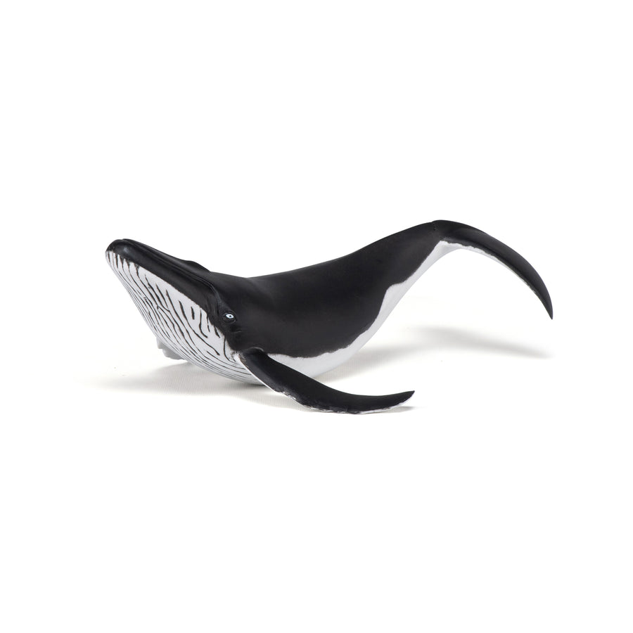 Baleineau Papo en PVC, Collection animaux marins, jouet éducatif idéal pour enfants et collectionneurs