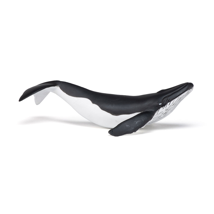 Baleineau Papo en PVC, Collection animaux marins, jouet éducatif idéal pour enfants et collectionneurs
