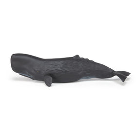 Cachalot Papo en PVC, Collection animaux marins, jouet éducatif idéal pour enfants et collectionneurs
