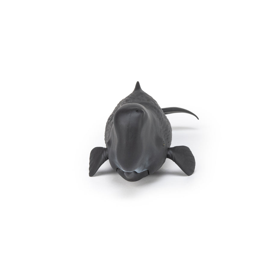 Cachalot Papo en PVC, Collection animaux marins, jouet éducatif idéal pour enfants et collectionneurs