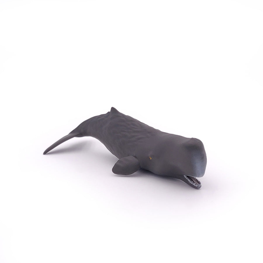 Bébé cachalot Papo en PVC, Collection animaux marins, jouet éducatif idéal pour enfants et collectionneurs