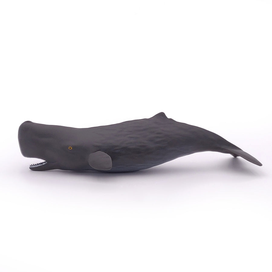 Bébé cachalot Papo en PVC, Collection animaux marins, jouet éducatif idéal pour enfants et collectionneurs