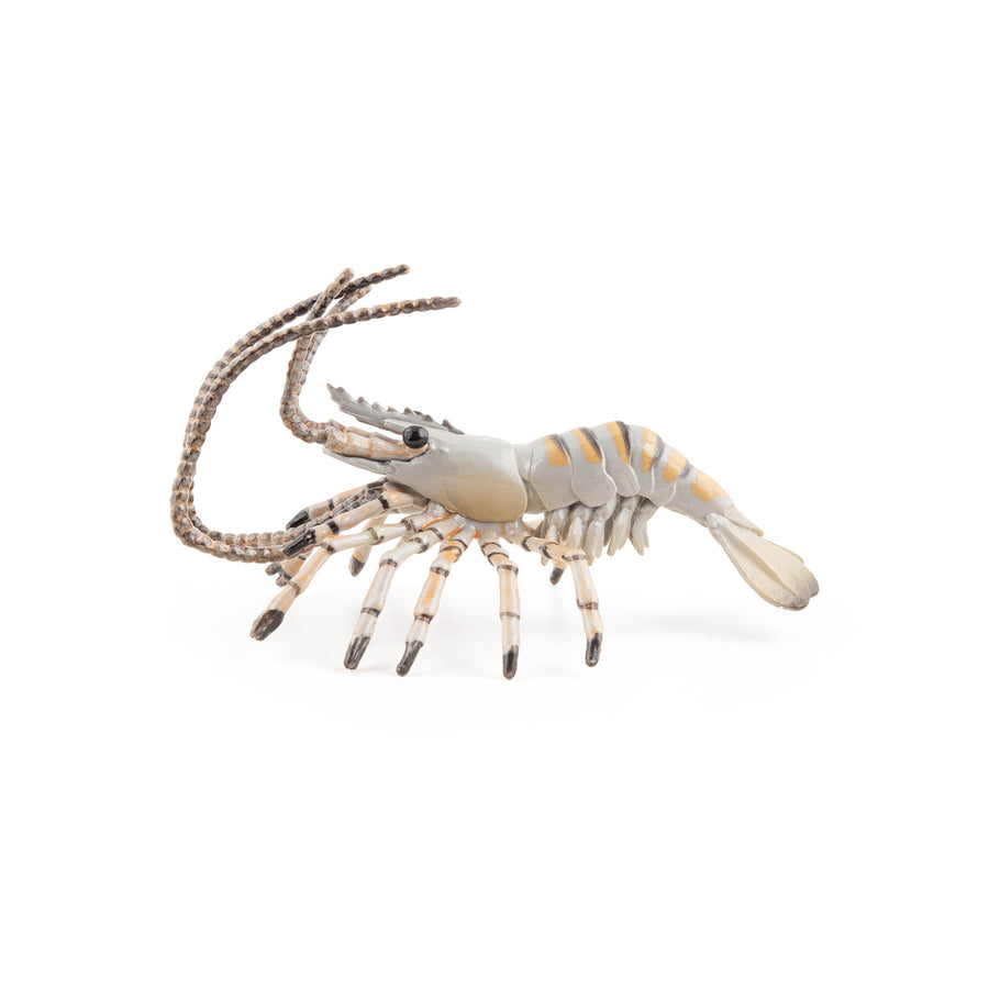 Crevette Papo en PVC, Collection animaux marins, jouet éducatif idéal pour enfants et collectionneurs