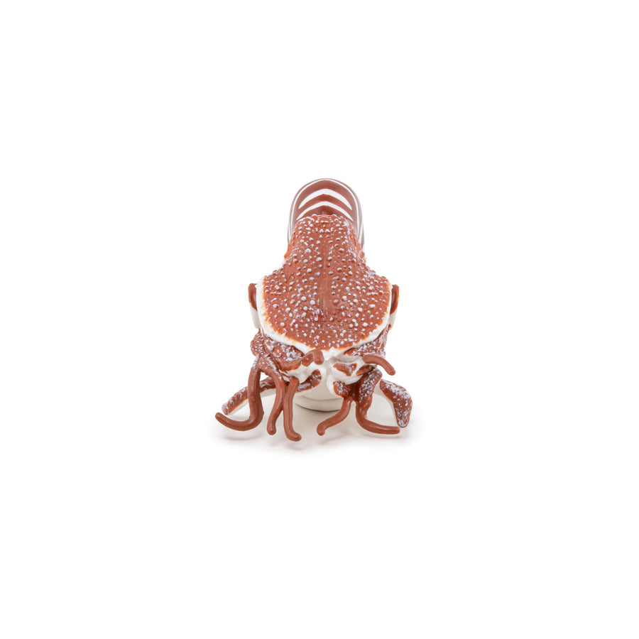 Nautile Papo en PVC, Collection animaux marins, jouet éducatif idéal pour enfants et collectionneurs