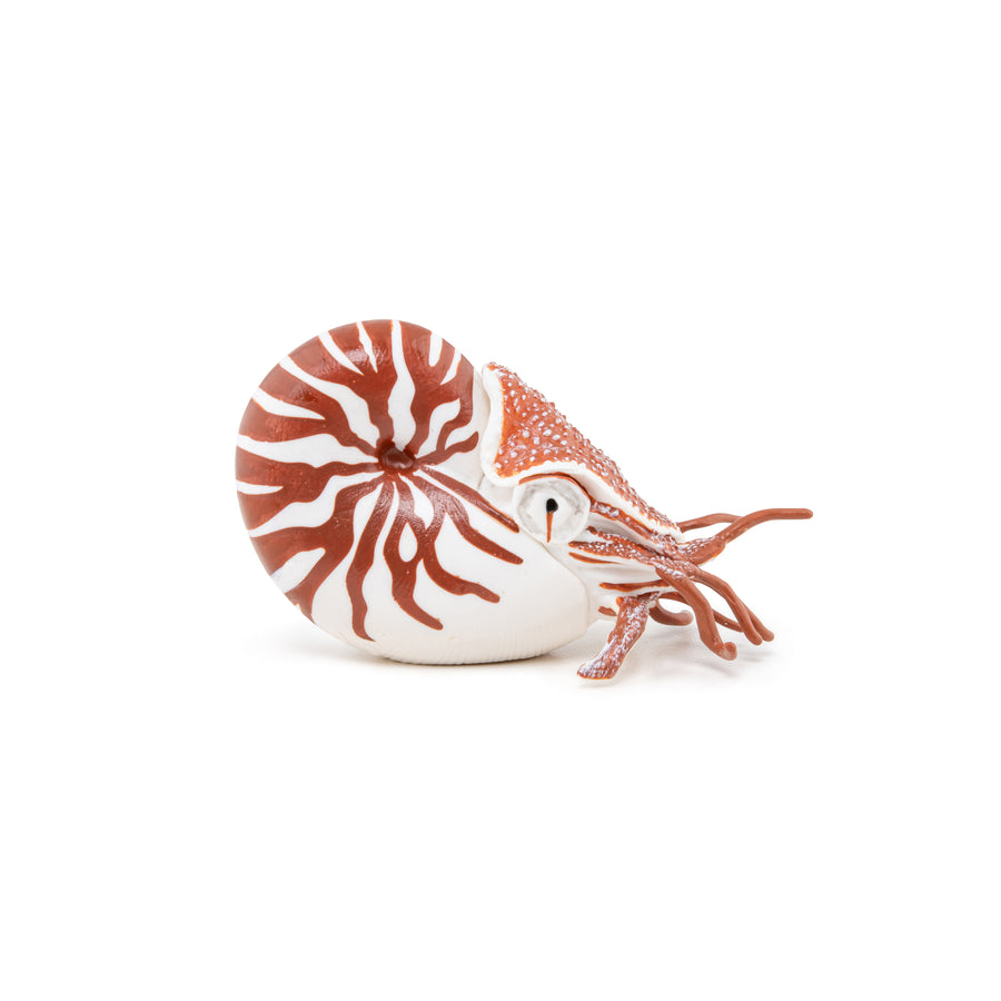 Nautile Papo en PVC, Collection animaux marins, jouet éducatif idéal pour enfants et collectionneurs